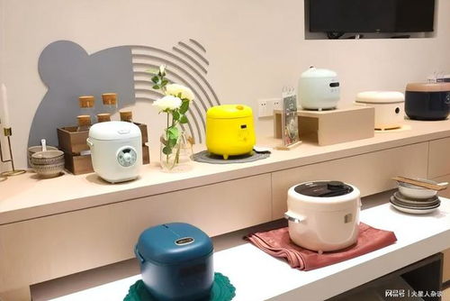 中國(guó)小家電上市公司的“營(yíng)收王” 一位年收202億元的商業(yè)巨頭領(lǐng)先科沃斯、超越九陽(yáng)